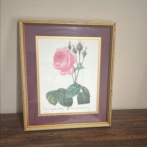 Framed Pink Rose Botanical Print 15”x13”